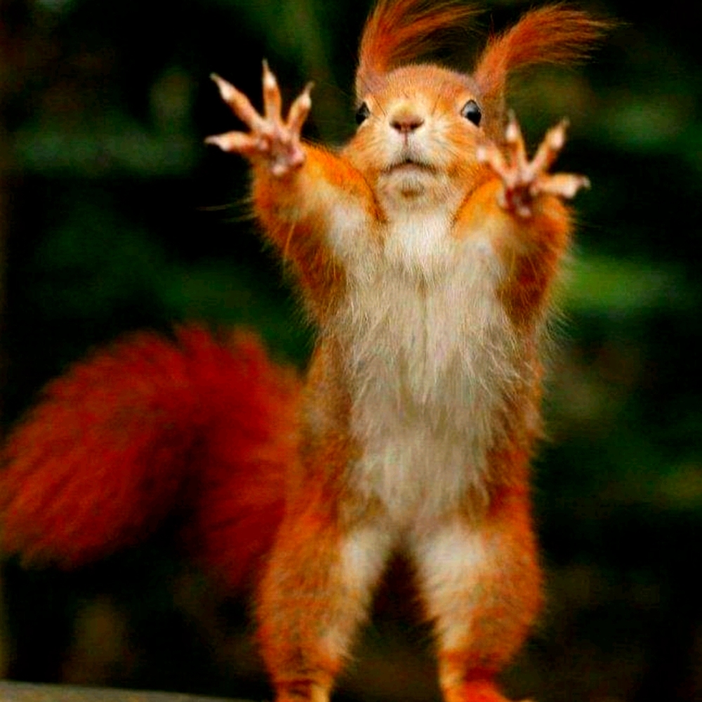 CLOSET CLEAN OUT. 4 for $20, everything goes!